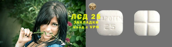 соль ск Заводоуковск