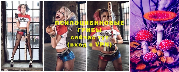 соль ск Заводоуковск