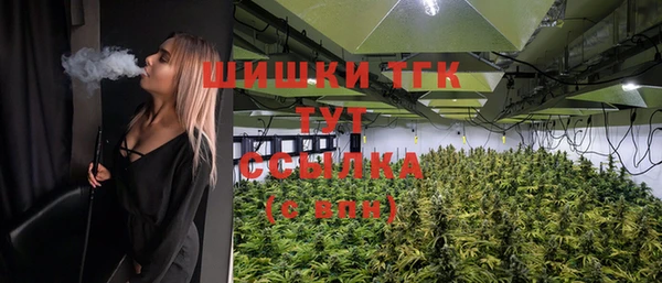 соль ск Заводоуковск