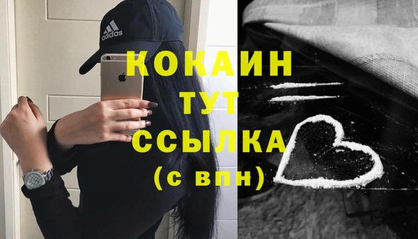соль ск Заводоуковск